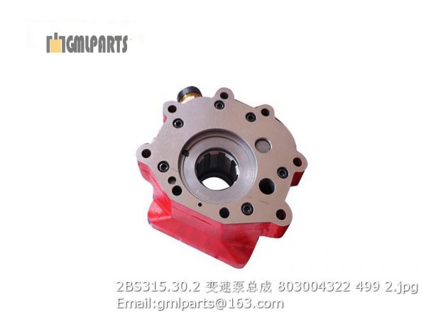 2BS315.30.2 transmission pump 803004322 - Image 2