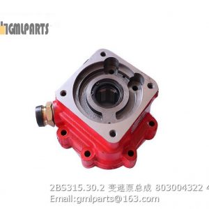 ,2BS315.30.2 transmission pump 803004322