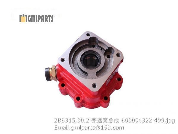 ,2BS315.30.2 transmission pump 803004322