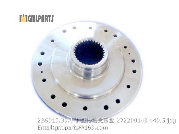 ,2BS315.30.4-1 Direct Forward Gear Reaction Disc 272200143