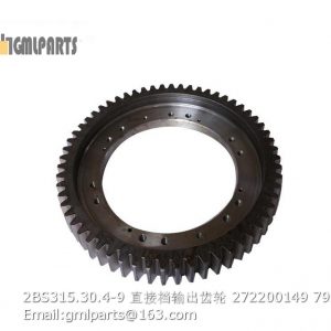 ,2BS315.30.4-9 272200149 DIRECT FORWARD GEAR