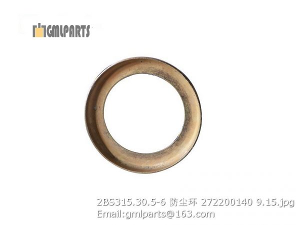 ,2BS315.30.5-6 272200140 Dustproof Ring