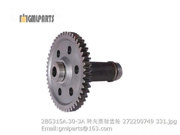 ,2BS315A.30-3A steering pump gear shaft 272200749