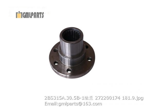 ,2BS315A.30.5B-1 XCMG FLANGE 272200174