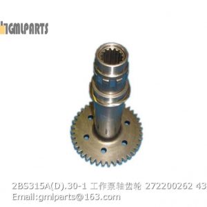 ,2BS315A(D).30-1 Working Pump Shaft Gear 272200262