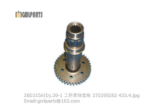,2BS315A(D).30-1 Working Pump Shaft Gear 272200262