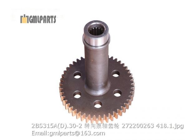 ,2BS315A(D).30-2 Steering Pump Shaft Gear 272200263