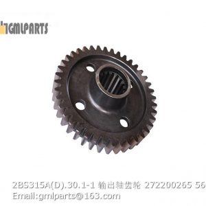 ,2BS315A(D).30.1-1 Output Shaft Gear 272200265