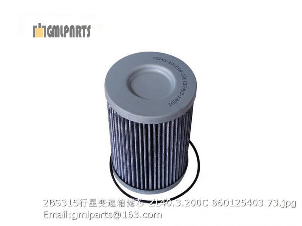 ,2BS315 TRANSMISSION FILTER ZL40.3.200C 860125403