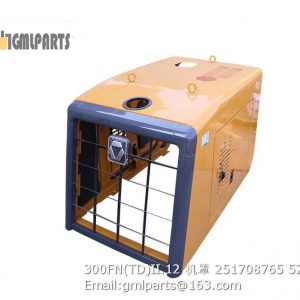 ,251708765 300FN(TD)II.12 hood