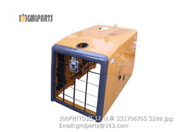 ,251708765 300FN(TD)II.12 hood