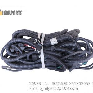 ,251702957 300FS.11L  HARNESS