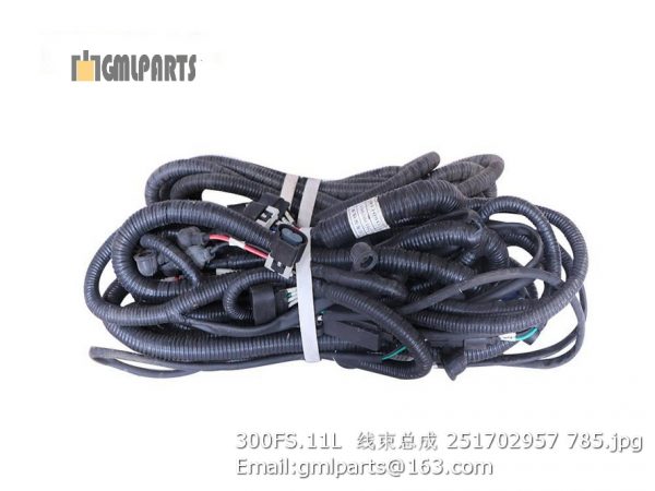 ,251702957 300FS.11L  HARNESS