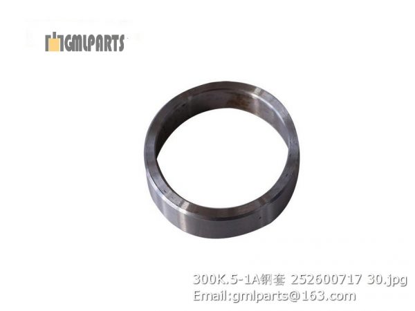 ,252600717 300K.5-1A BUSHING