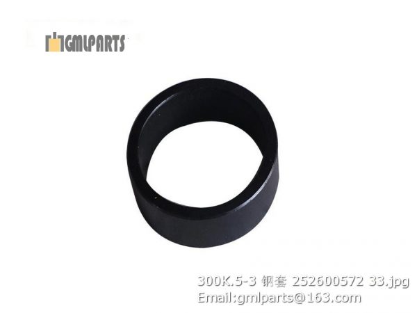 ,252600572 300K.5-3 BUSHING