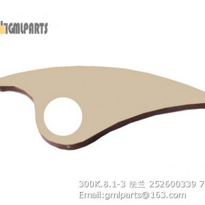 ,252600339 300K.8.1-3 FLANGE