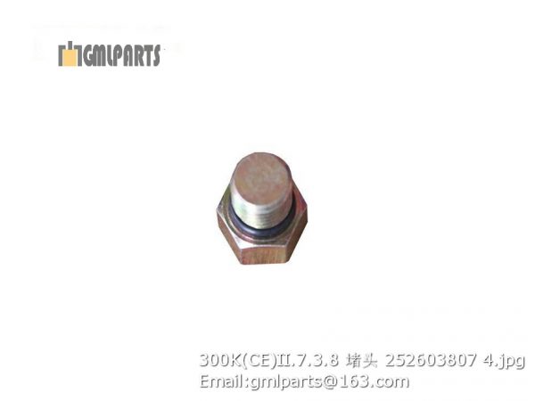 ,252603807 300K(CE)II.7.3.8 PLUG