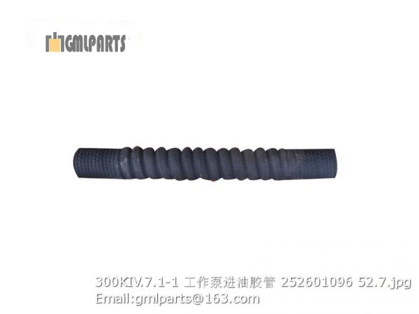 ,252601096 300KIV.7.1-1 Hose GB/T93-1987