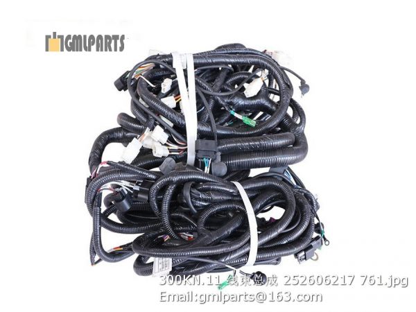 ,252606217 300KN.11 HARNESS