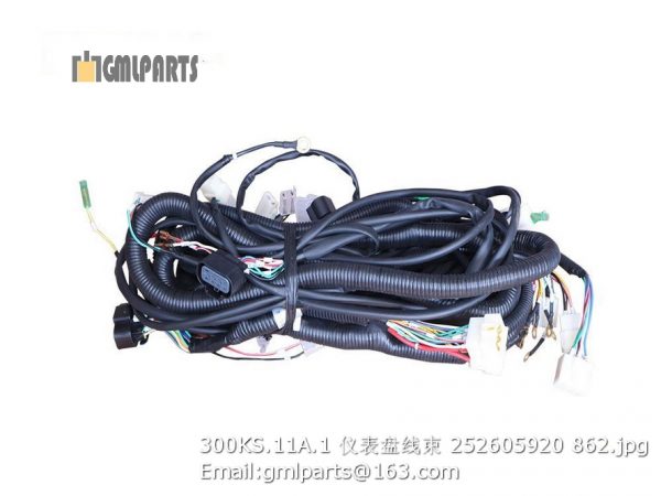 ,252605920 300KS.11A.1 INSTRUMENT HARNESS