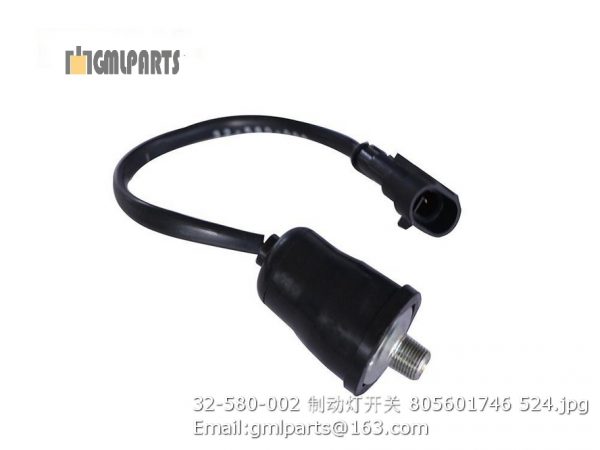 ,32-580-002 Switch 805601746