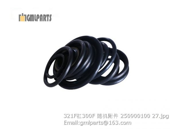 ,250900100 321F/300F TOOLS ATTACHED O-RING SEALS