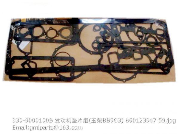 ,330-9000100B GASKET KITS 860123947