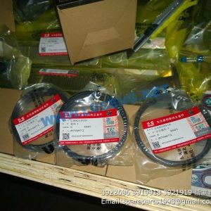 ,3922686 3919918 3921919 PISTON RING