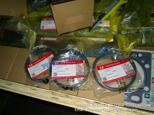 ,3922686 3919918 3921919 PISTON RING