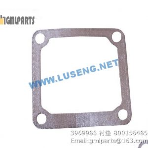 ,800156485 3969988 Connection Gasket