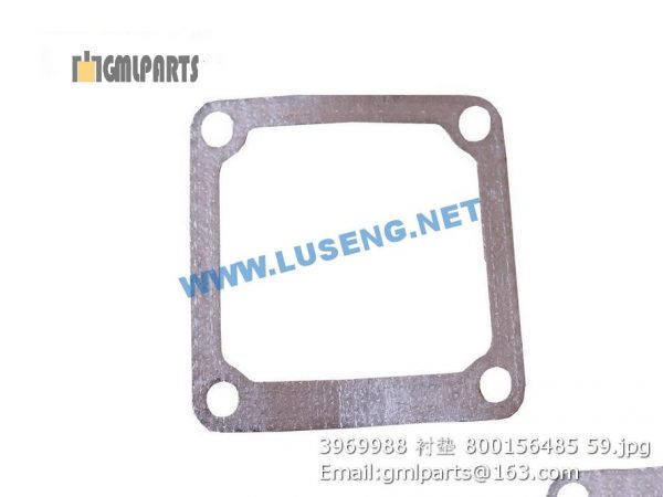 ,800156485 3969988 Connection Gasket