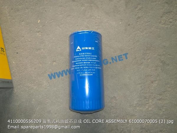 ,4110000556209 OIL CORE ASSEMBLY 61000070005