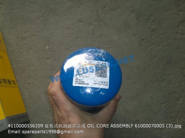 4110000556209 OIL CORE ASSEMBLY 61000070005 - Image 2