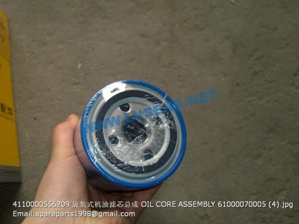 4110000556209 OIL CORE ASSEMBLY 61000070005 - Image 3