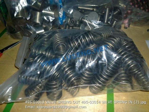 ,495-03013 VALVE SPRING OUT 495-03014 VALVE SPRING IN