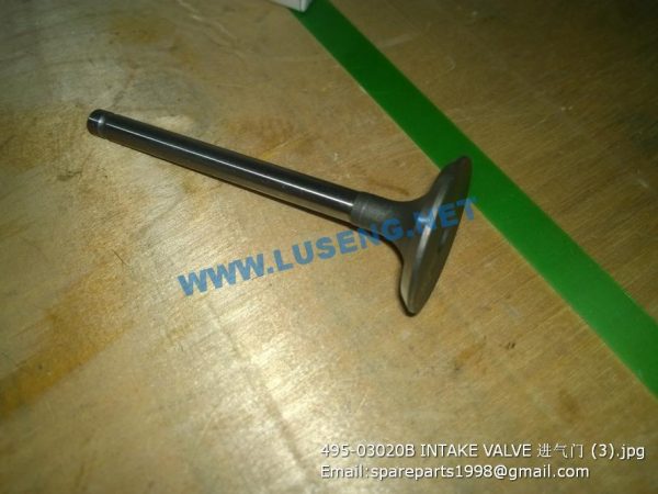 ,495-03020B INTAKE VALVE