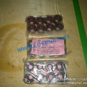 ,495-03022W SEAL VALVE WEICHAI HUAFENG PARTS