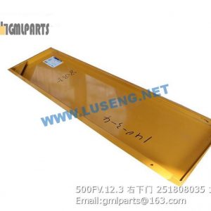 ,251808035 500FV.12.3 RIGHT DOOR