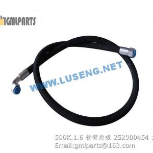 ,252900454 500K.1.6 HOSE