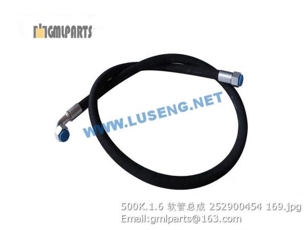 ,252900454 500K.1.6 HOSE