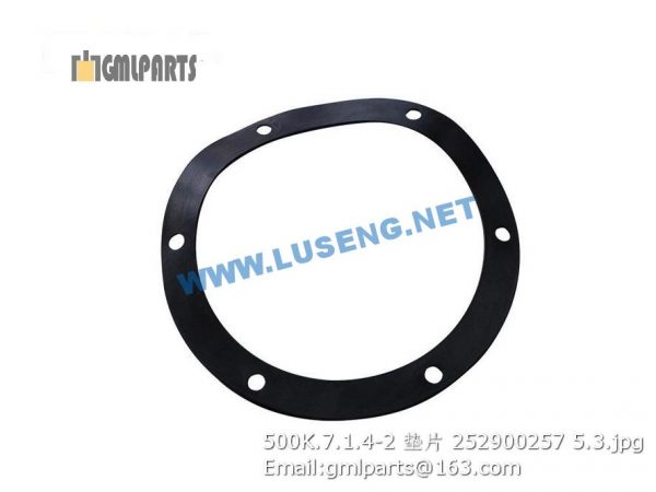 ,252900257 500K.7.1.4-2 Washer