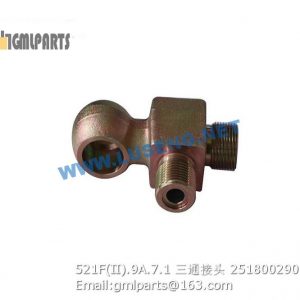 ,251800290 521F(II).9A.7.1 JOINT