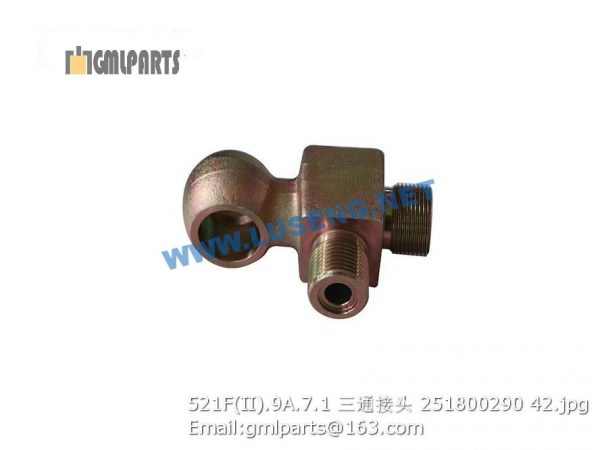 ,251800290 521F(II).9A.7.1 JOINT