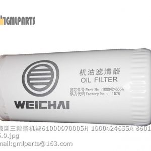 ,61000070005H 1000424655A 860133763 xcmg oil filter