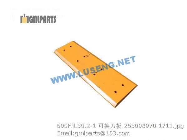 253008970 600FN.30.2-1 Blade XCMG - Image 2