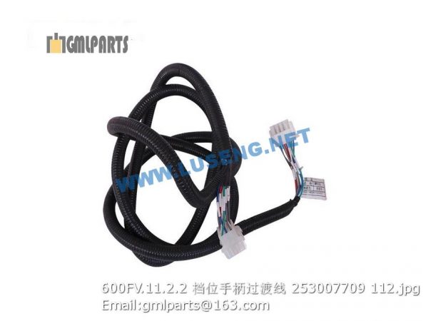 ,253007709 600FV.11.2.2 CABLE
