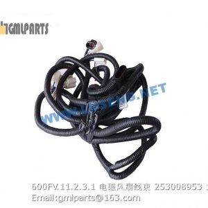 ,253008953 600FV.11.2.3.1 CABLE