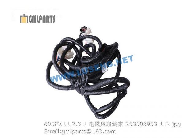 ,253008953 600FV.11.2.3.1 CABLE