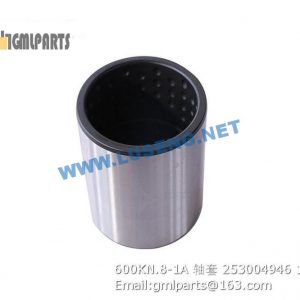 ,253004946 600KN.8-1A Bushing