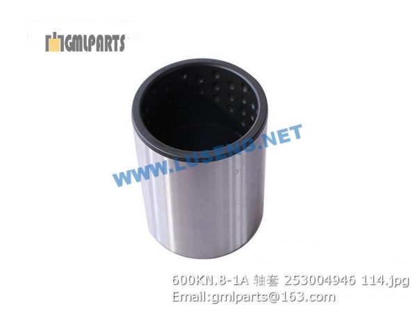 ,253004946 600KN.8-1A Bushing